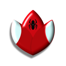 User 3