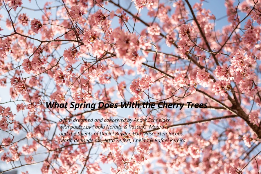 What Spring Does with the Cherry Trees