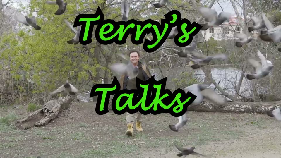 How to Stay Married: Terry's Talks