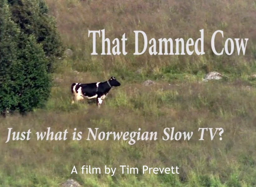 That Damned Cow - Just What is Norwegian Slow TV?