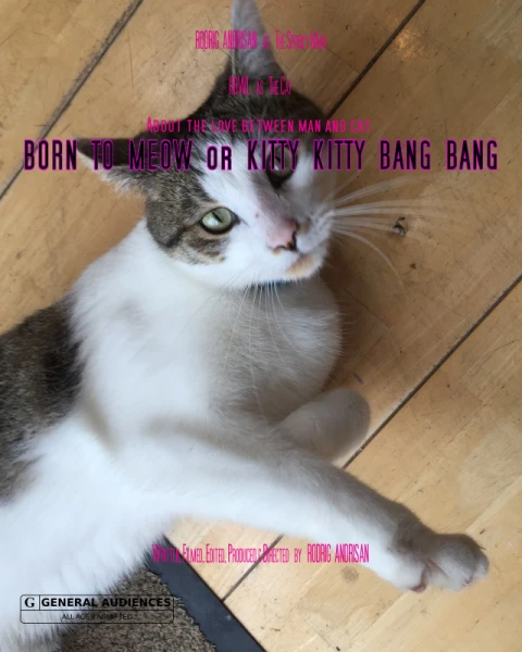 Born to Meow or Kitty Kitty Bang Bang