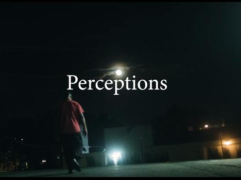 Perceptions
