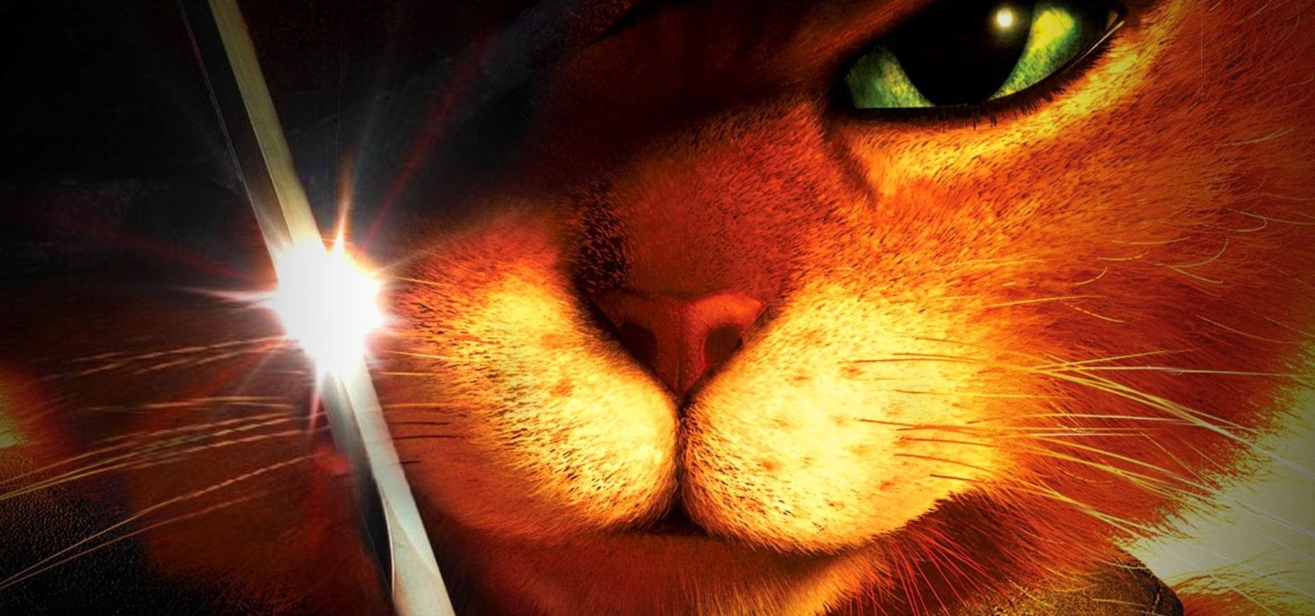Puss in Book: Trapped in an Epic Tale