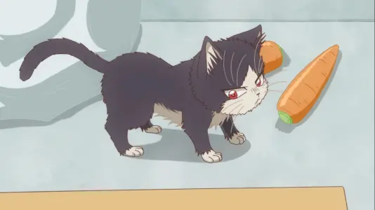 Eating Together