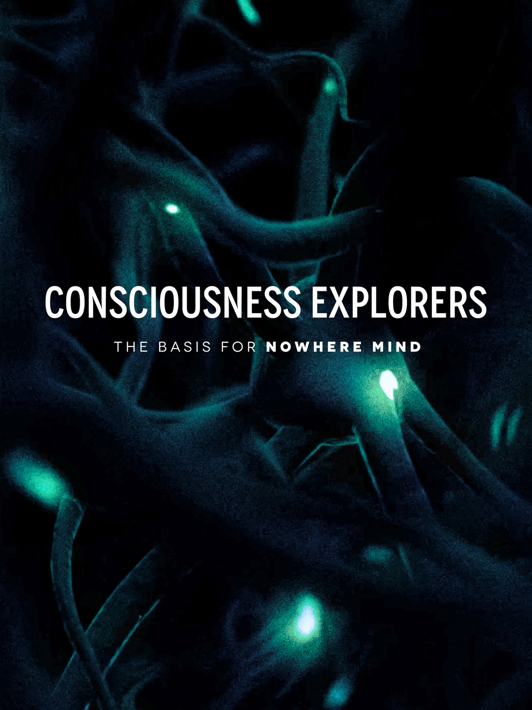 Consciousness Explorers: The Basis for Nowhere Mind