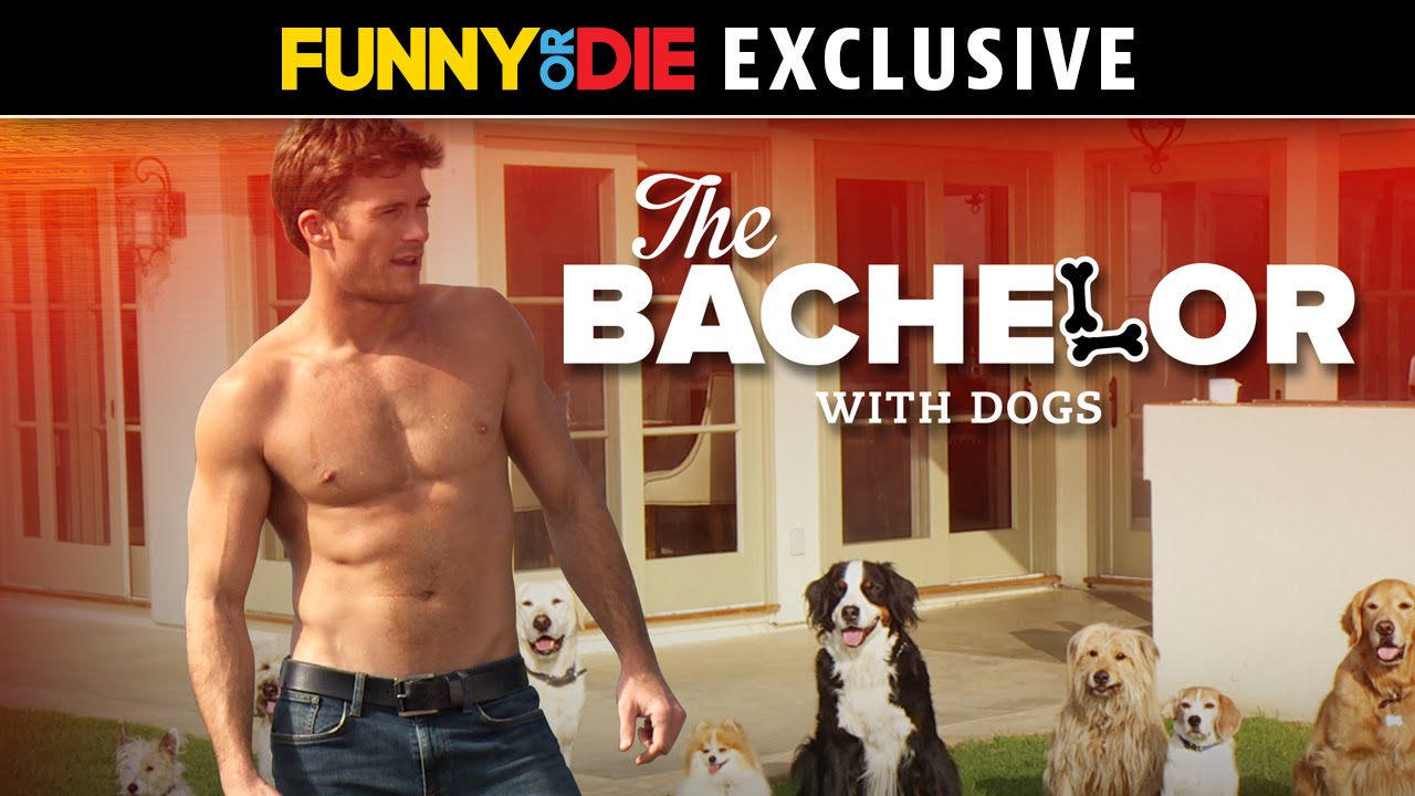 The Bachelor with Dogs and Scott Eastwood