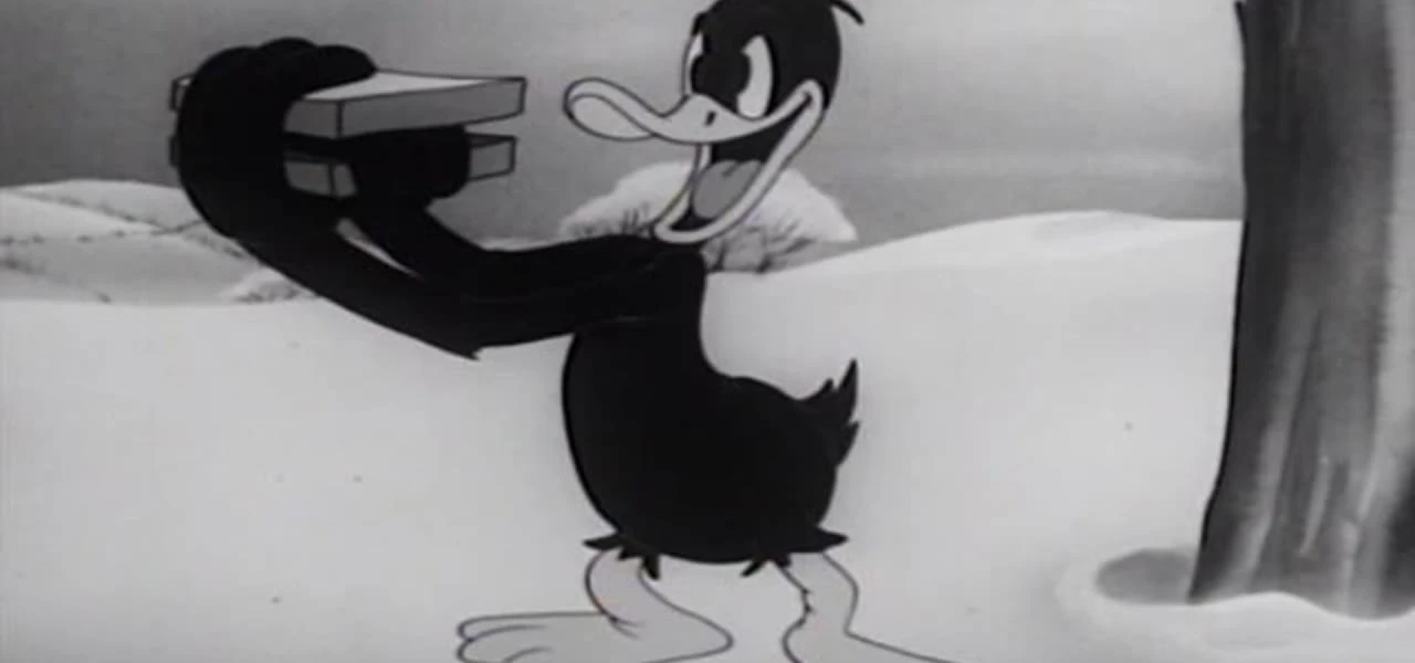 Daffy's Southern Exposure