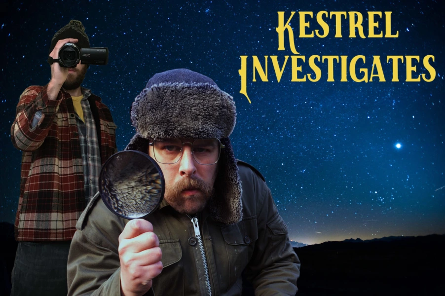 Kestrel Investigates
