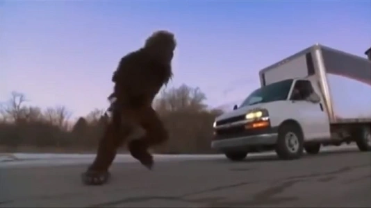 Bêtes étranges