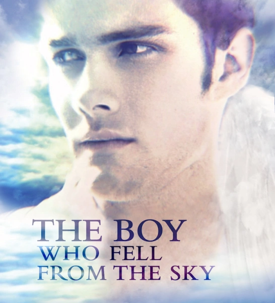 The Boy Who Fell from the Sky