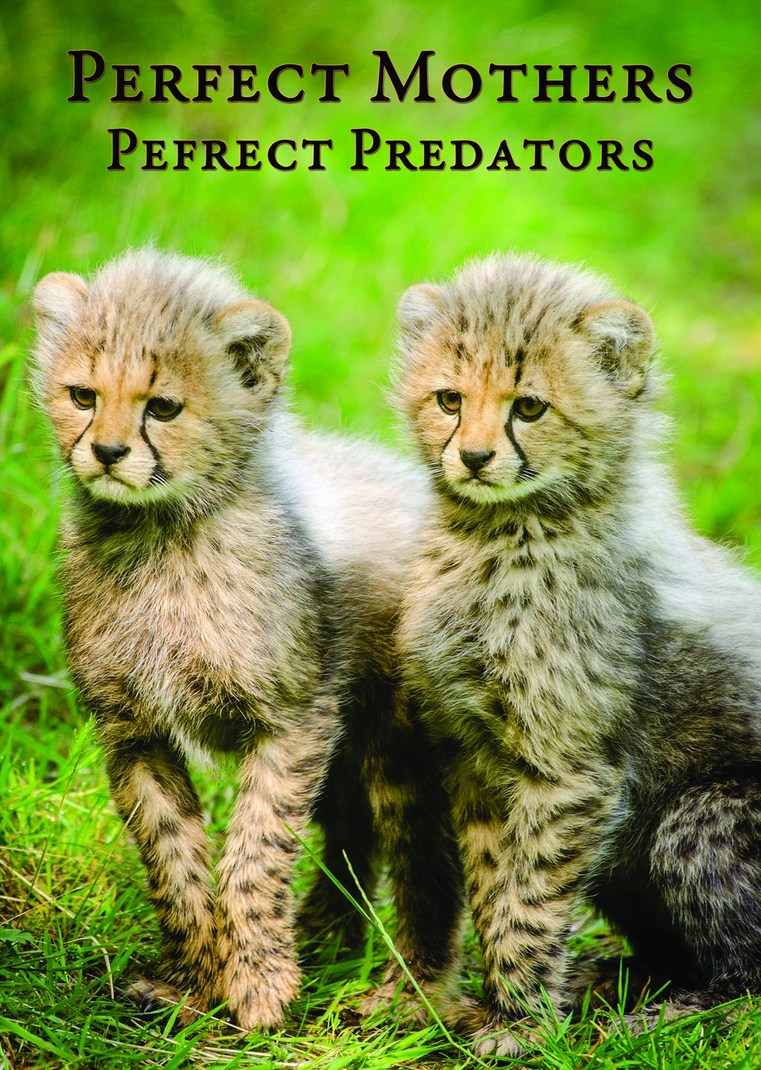 Perfect Mothers, Perfect Predators
