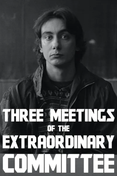 Three Meetings of the Extraordinary Committee