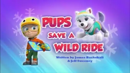 Pups Save Big Hairy/Pups Save a Flying Kitty
