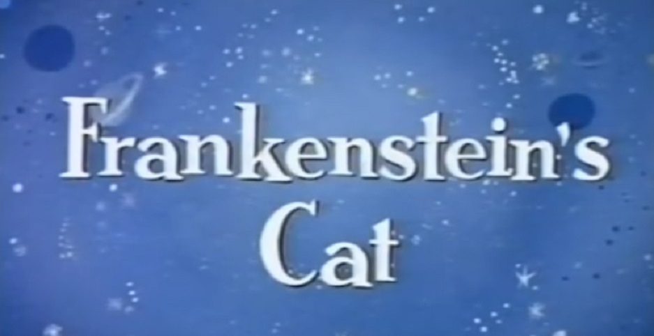 Frankenstein's Cat