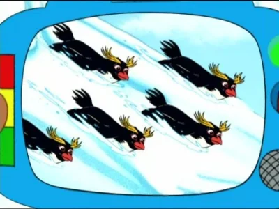 Macky the Macaroni Penguin