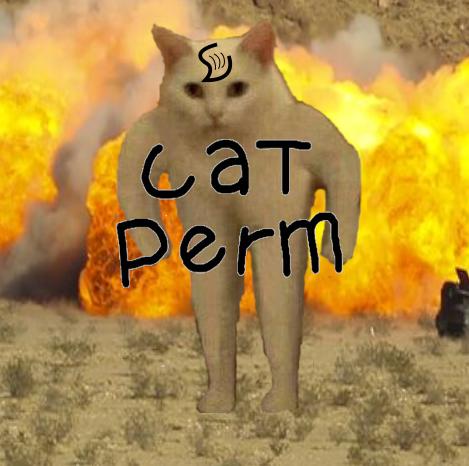 Cat Perm
