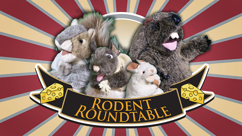 March Mammal Madness - Rodent Recap