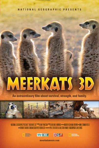 Meerkats 3D