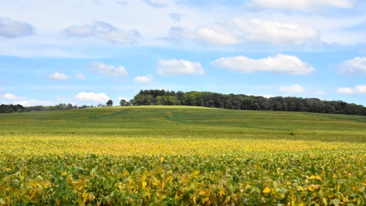 Charles Mound, Illinois