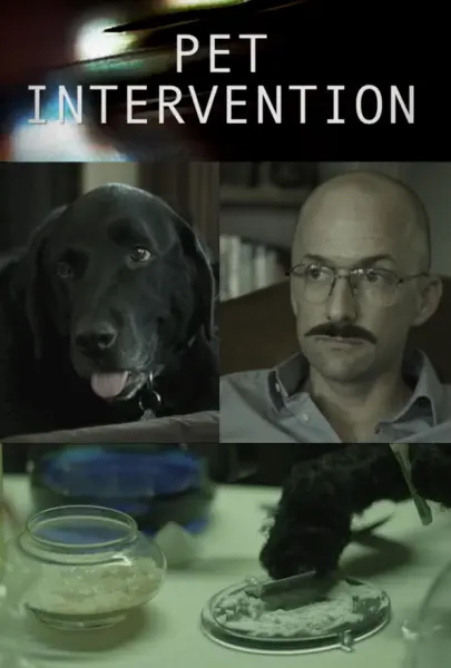 Pet Intervention