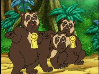 Armadillo's Rainforest Race