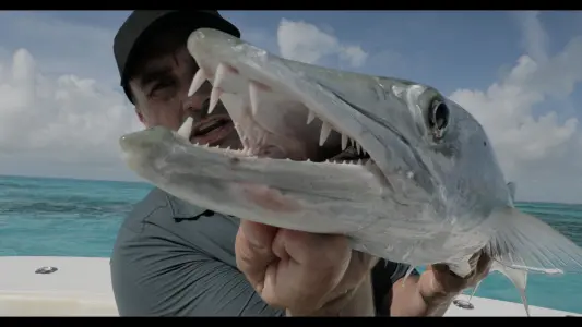 Deadly Jaws