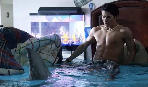 Pool Shark