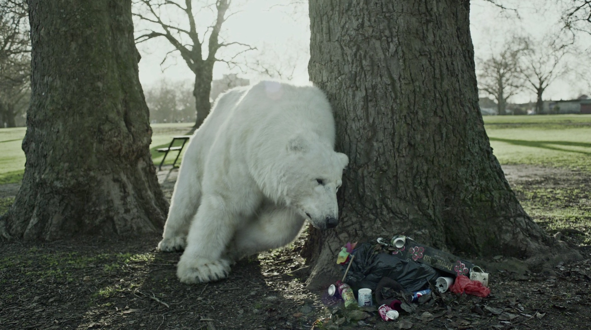 The Homeless Polar Bear