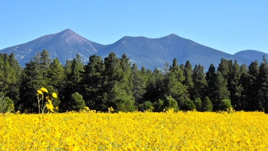 Humphreys Peak, Arizona