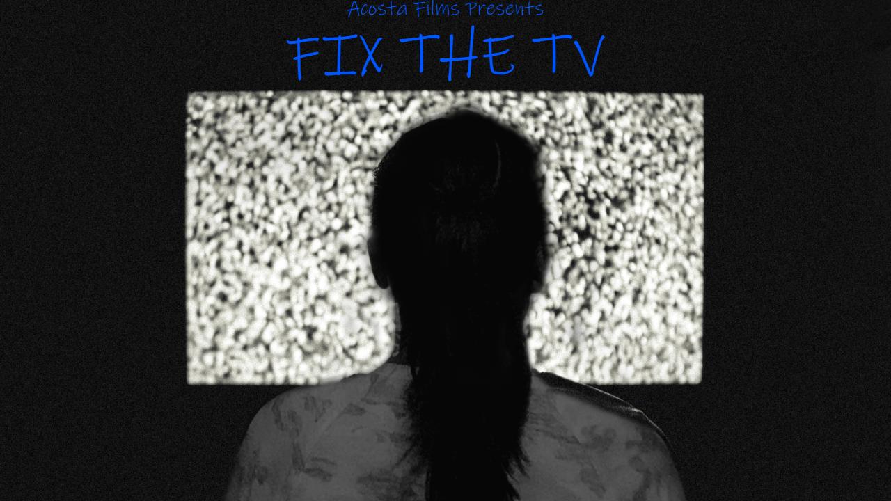 Fix the Tv