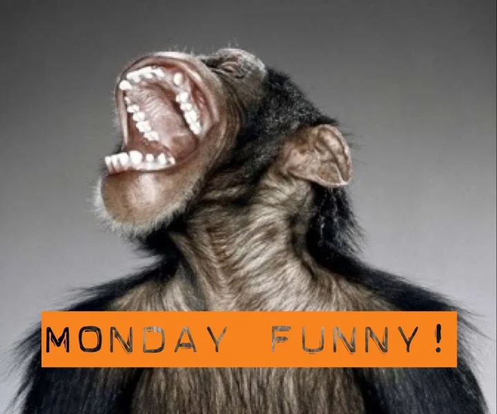 Monday Funny