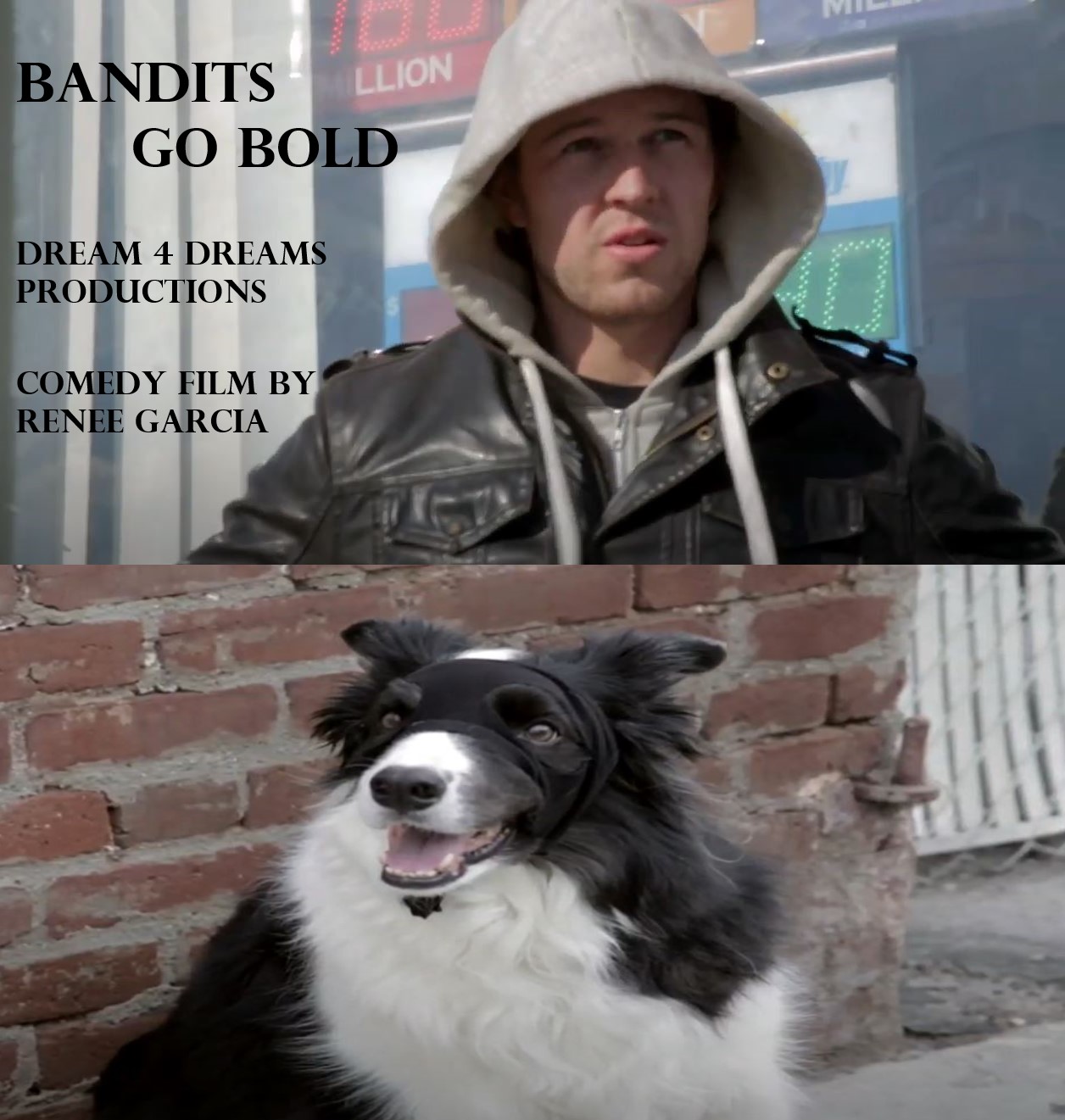 Bandits Go Bold