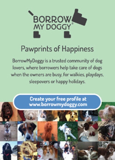 Borrow My Doggy: Paws/The Greeting/The Walk