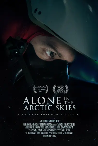 Alone in the Arctic Skies
