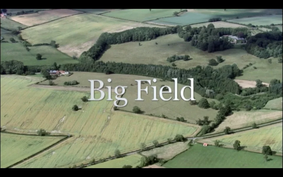 Big Field