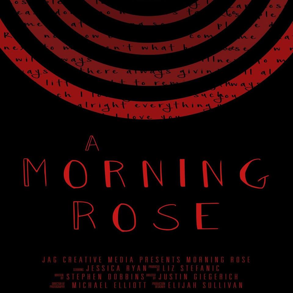 A Morning Rose