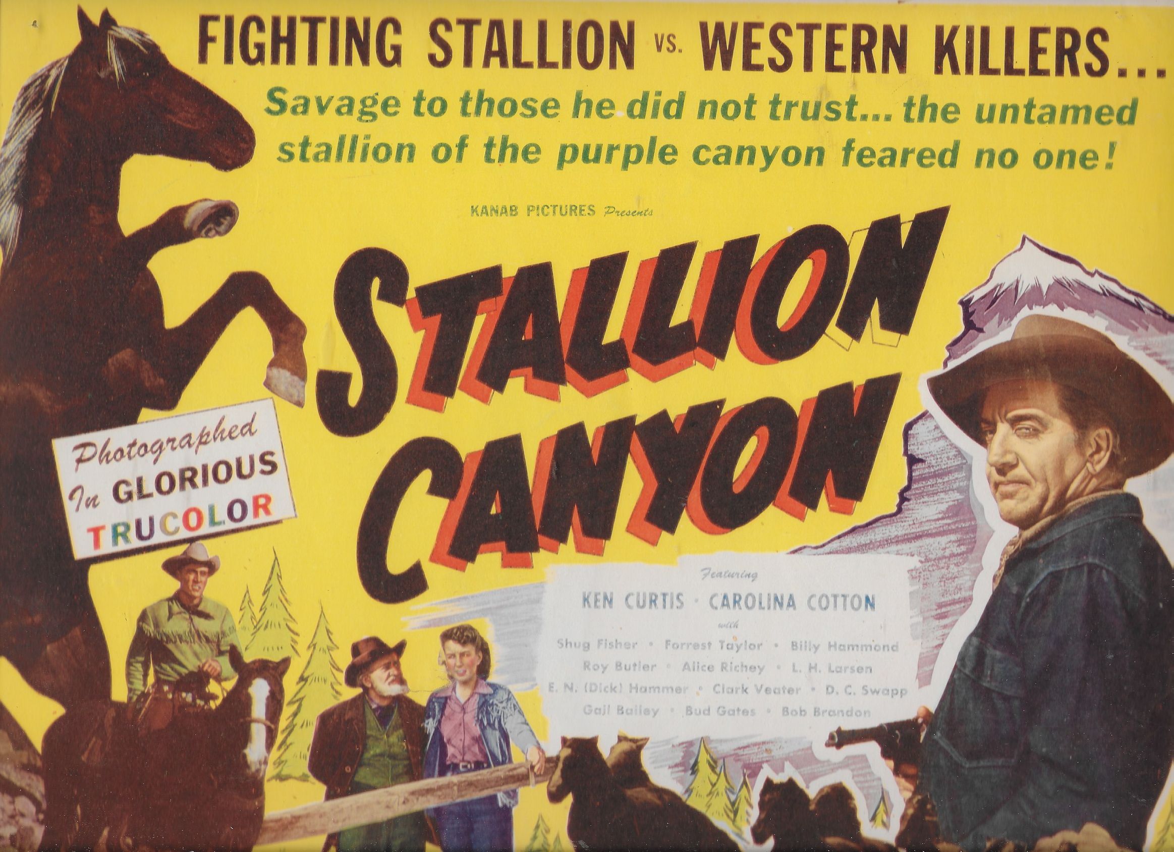 Stallion Canyon
