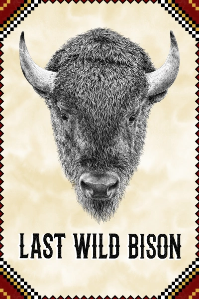 Last Wild Bison