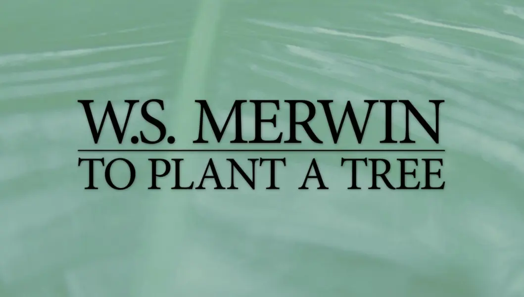 W.S. Merwin: To Plant a Tree