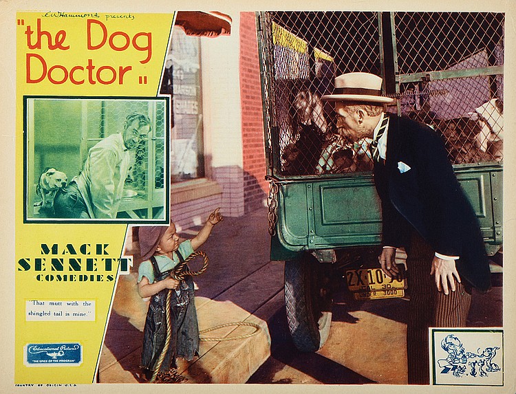 The Dog Doctor
