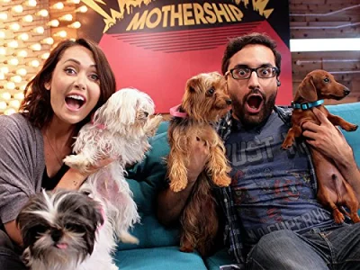 Puppy Race and Chicken Nuggets