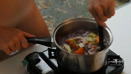Garden Vegetable Soup