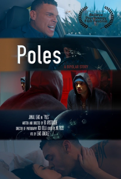 Poles: A Bipolar Story