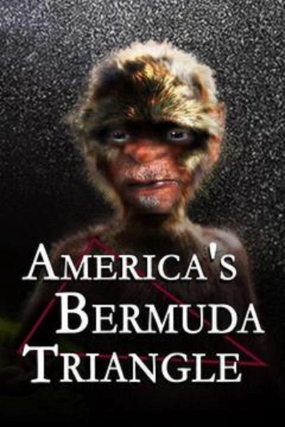 America's Bermuda Triangle