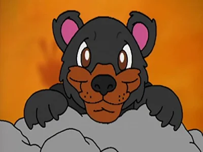 Bears