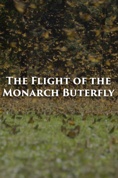 The Flight of the Monarch Butterfly