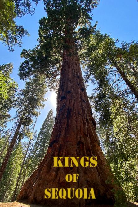 Kings of Sequoia