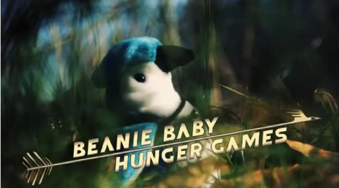 The Beanie Baby Hunger Games