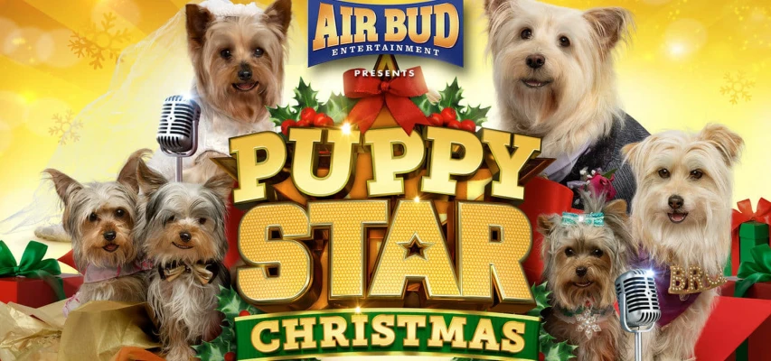 Puppy Star Christmas