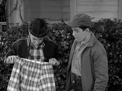 Beaver's Laundry
